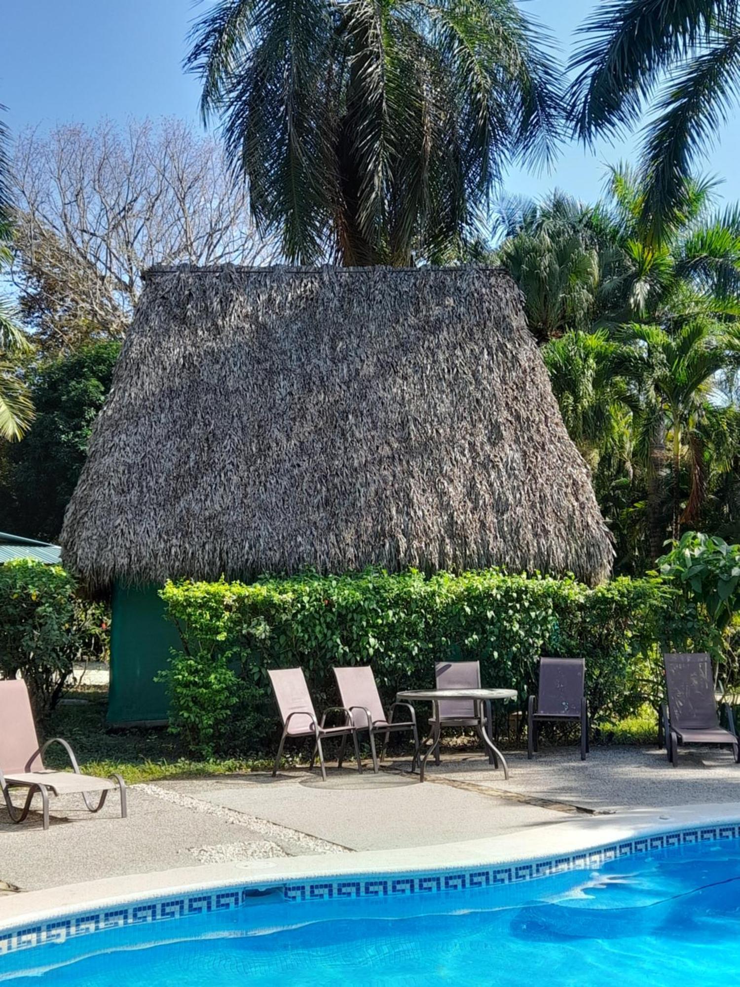 Mal Pais Surf Camp Hotel Playa Santa Teresa  Ngoại thất bức ảnh