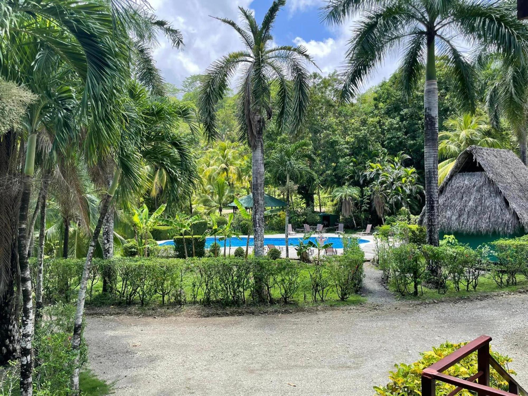 Mal Pais Surf Camp Hotel Playa Santa Teresa  Phòng bức ảnh