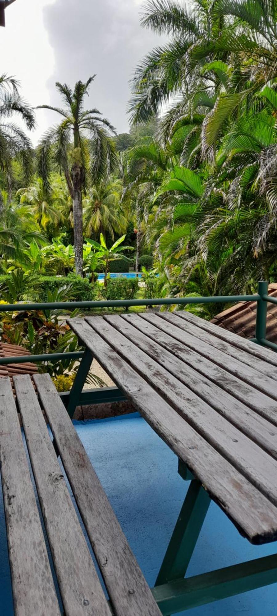 Mal Pais Surf Camp Hotel Playa Santa Teresa  Ngoại thất bức ảnh